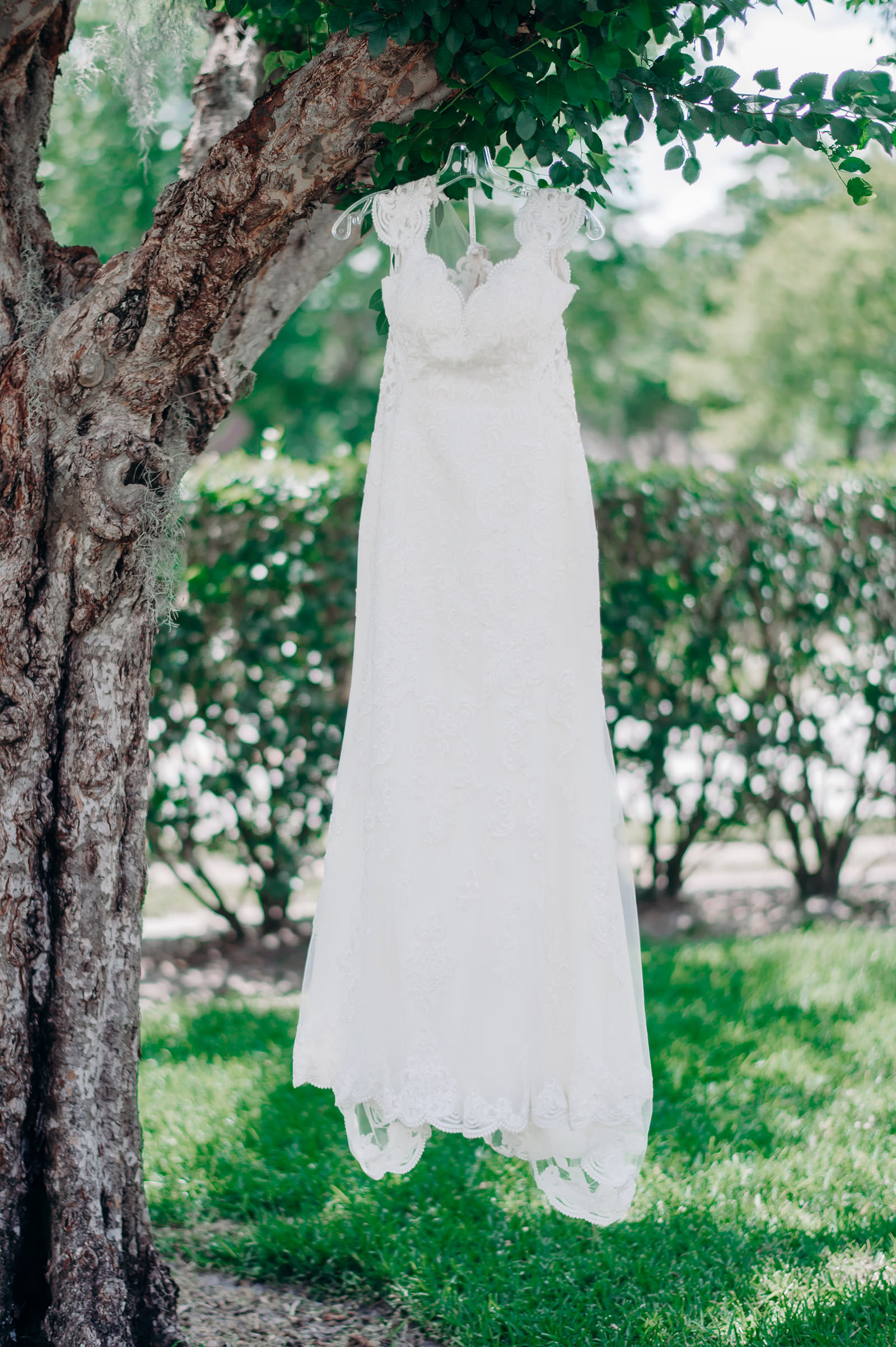 White Lace Wedding Dress Hanging From a Tree Wedding Portrait