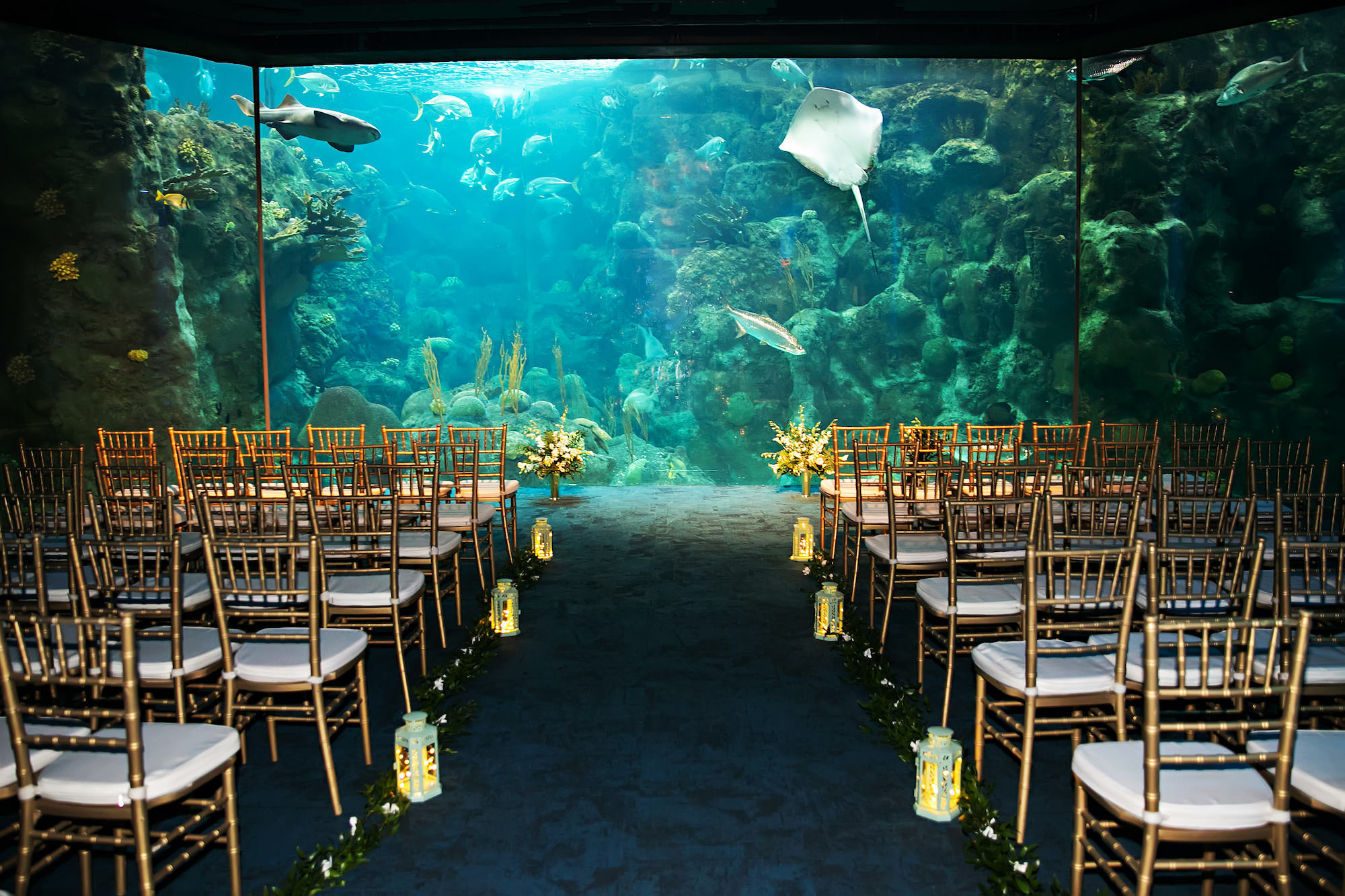 Unique Tampa Florida Aquarium Wedding Ceremony