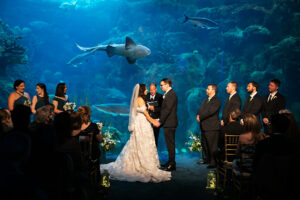 Bride and Groom Exchange Vows | Tampa Florida Aquarium Indoor Wedding | Tampa Florida Photographer Limelight Photography