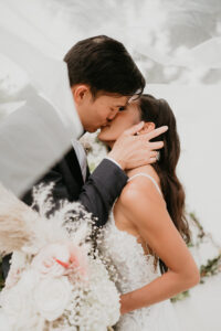 Bride and Groom Kiss Under Veil Wedding Portrait