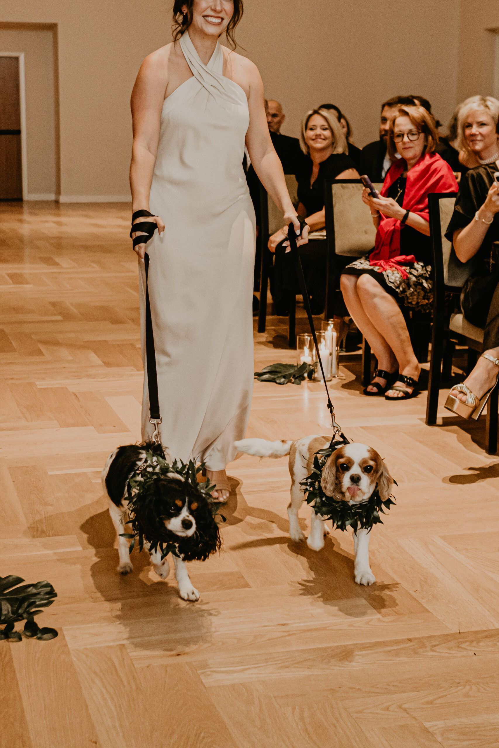 Dogs Walking Down the Wedding Ceremony Aisle | Tampa Bay Pet Handler Fairytail Pet Care