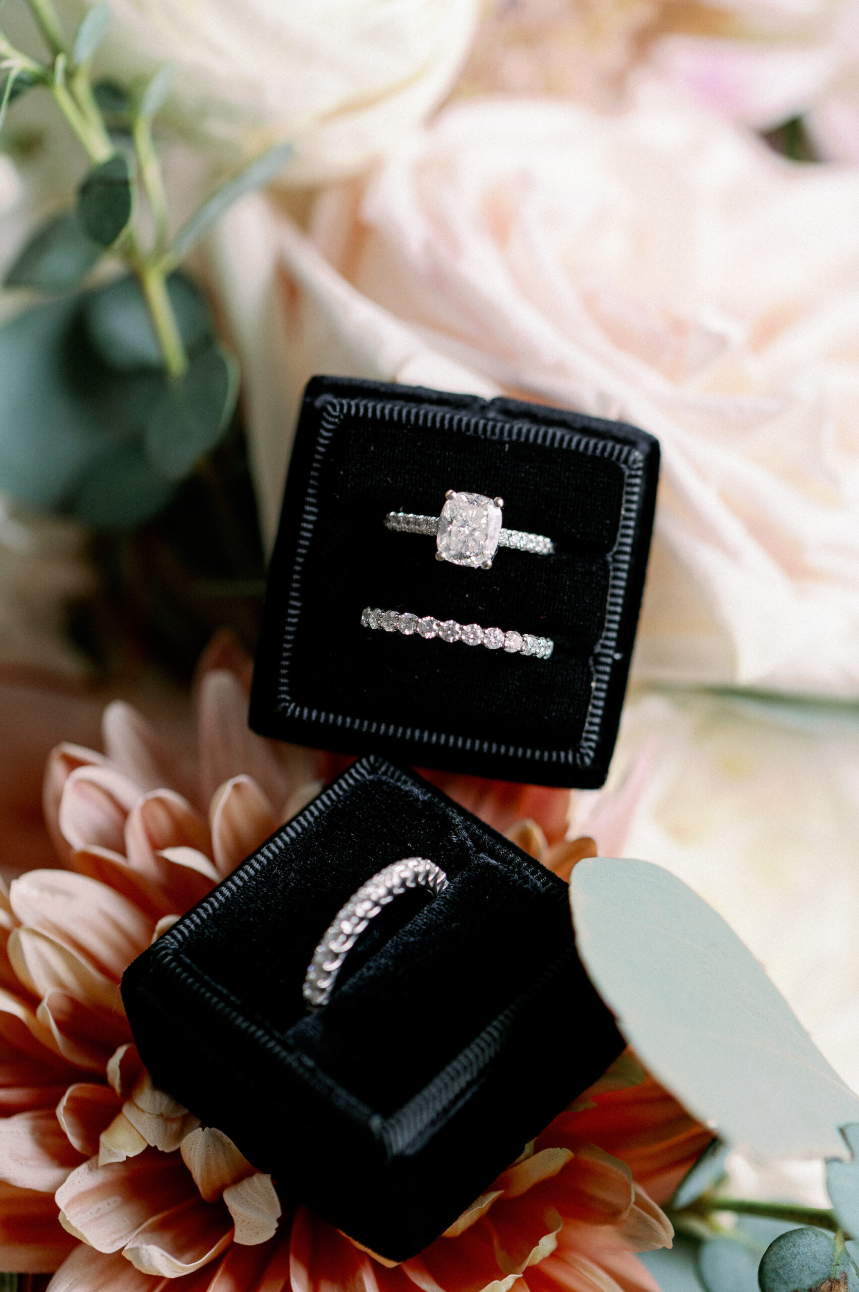 Cushion Cut Diamond Engagement Ring with Halo, Brides Wedding Rings in Black Velvet Ring Box | Tampa Bay Wedding Photographer Dewitt for Love
