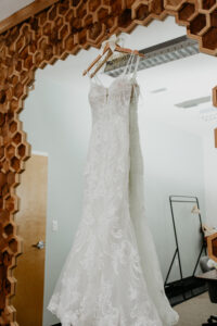 Fitted Lace Detail Wedding Dress with Deep V-Neck Hanging Wedding Portrait