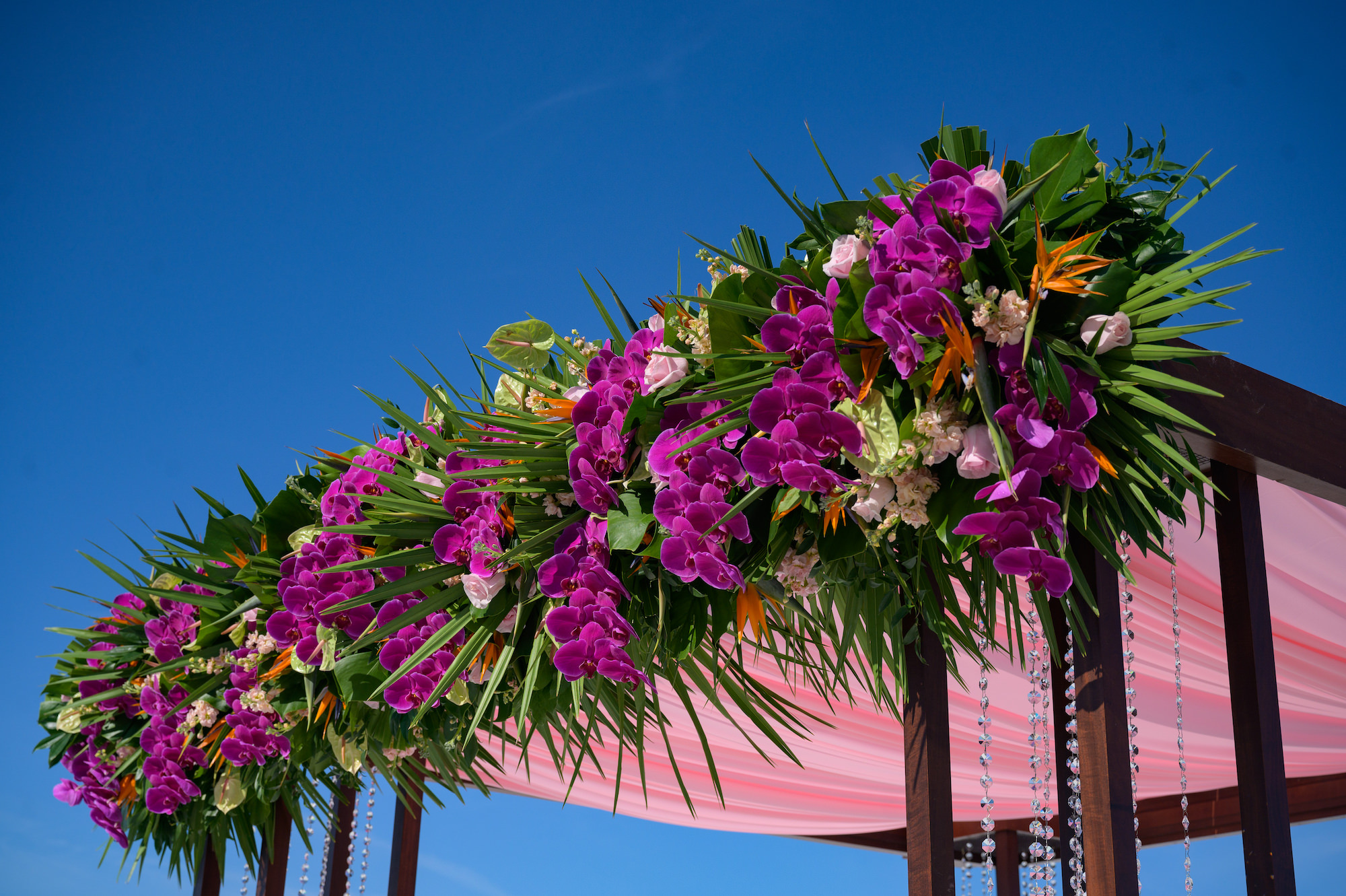 Tropical Wedding Ceremony Decor, Altar Decorated with Orchids, Palm Leaves and Colorful Flowers, Bright Purple, Fuchsia, Green, and Orange Flowers, Coral Draping