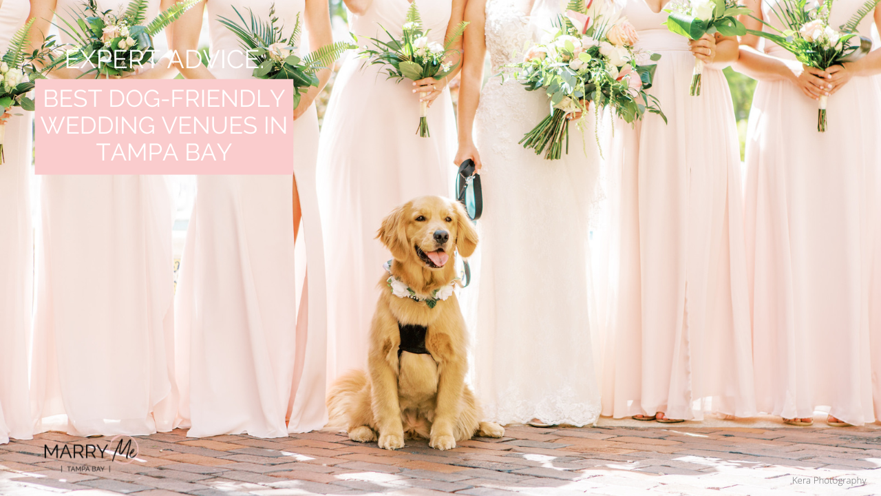 Best Dog-Friendly Wedding Venues in Tampa Bay