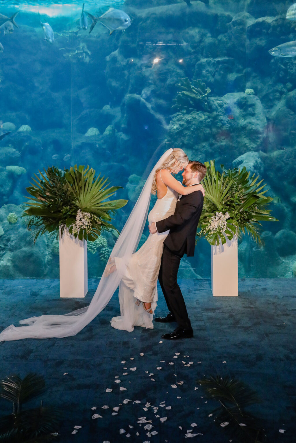 Bride and Groom Wedding Portrait at the Florida Aquarium | Lifelong Photography