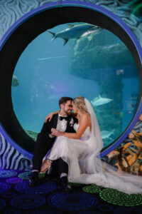 Bride and Groom Wedding Portrait at the Florida Aquarium | Lifelong Photography