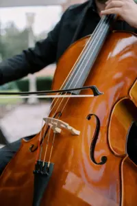 Classic Wedding Bass Violin Ceremony Music Ideas