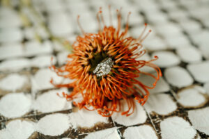 Orange Pin Cushion Protea Flower | Round White Gold Solitaire Diamond Ring with Flair Nested Wedding Band Inspiration
