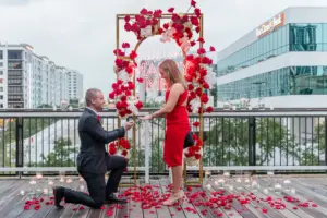 Mary Anna Photography Tampa Engagement Proposal Photographer