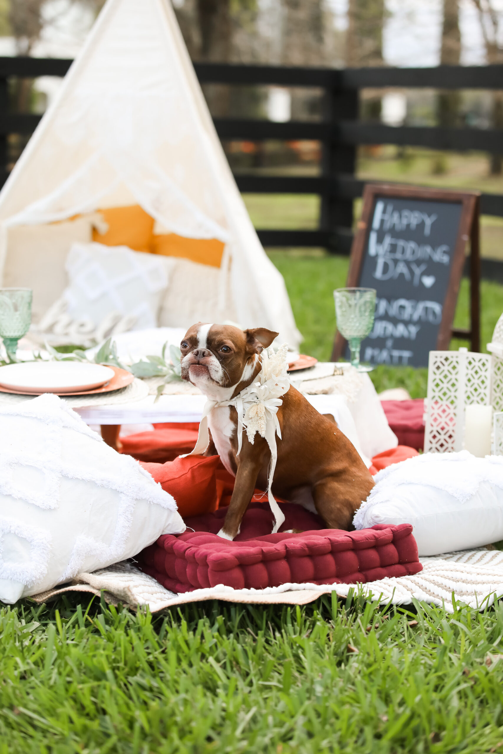 Fall Terracotta Boho Outdoor Wedding Shower Party Tent Picnic Inspiration with Dog