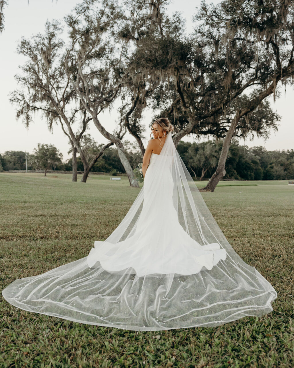 Bridal Portrait with Cathedral Veil | Bride in Fit and Flare Crepe Wedding Dress