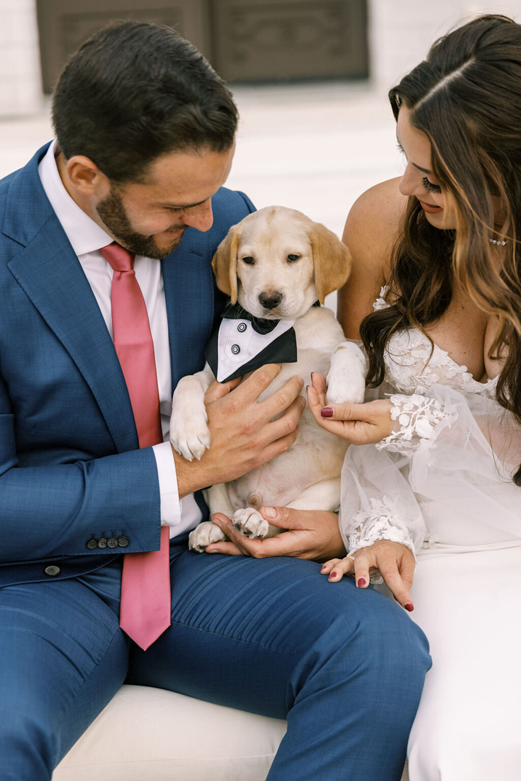 Bride and Groom with Adoptable Puppy Wedding Portrait | Unique Wedding Trends | Tampa Bay Fairytail Pet Care