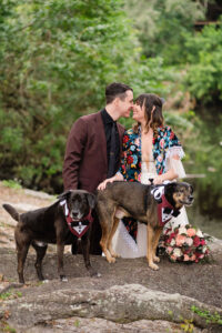 Dogs in Wedding | Tampa Bay Fairytail Pet Care