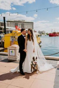 Pets in Wedding Inspiration | Tampa Bay Pet Care Fairytail Pet Care