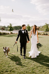 Pets in Wedding Inspiration | Tampa Bay Pet Care Fairytail Pet Care
