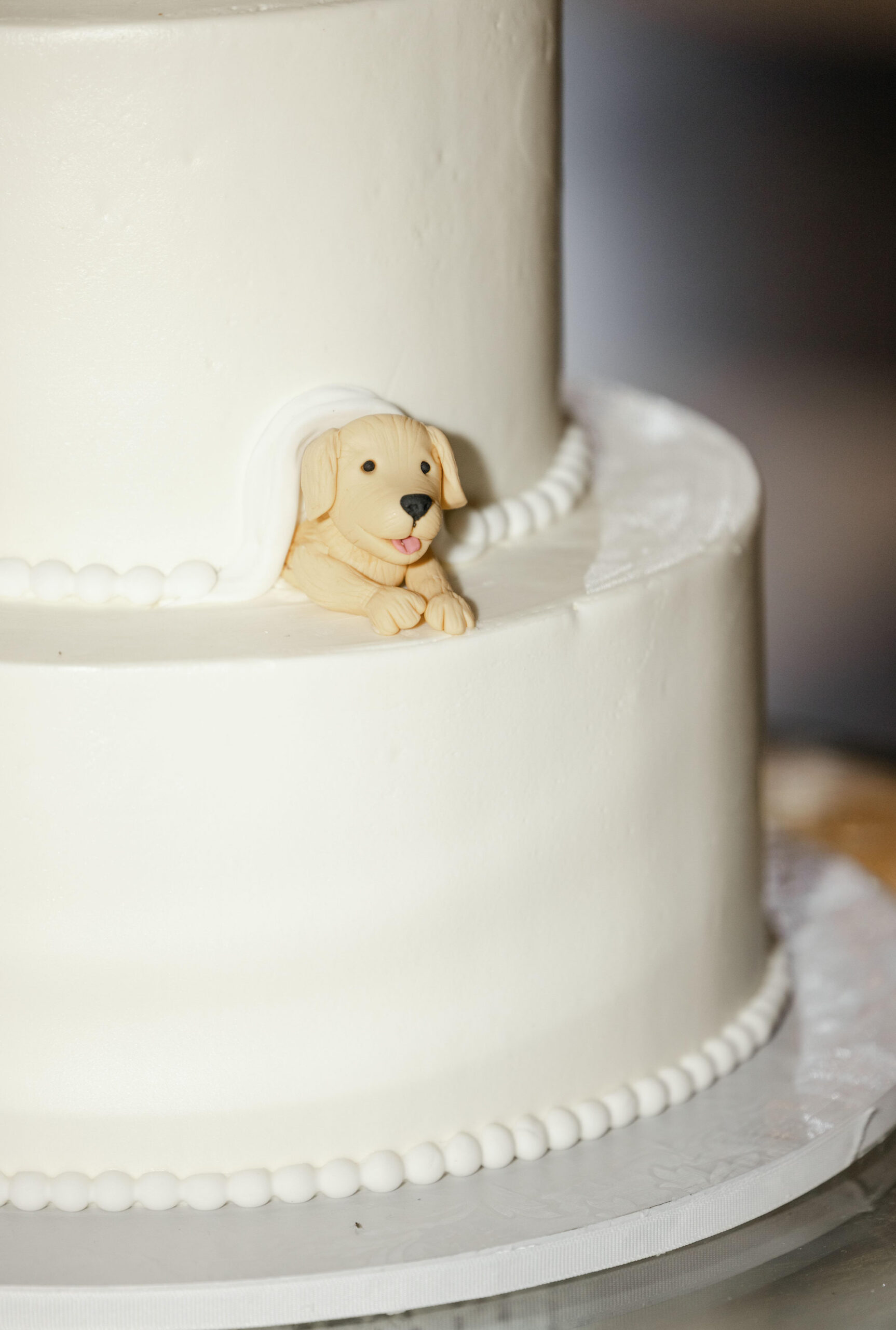 Dog on Wedding Cake Ideas