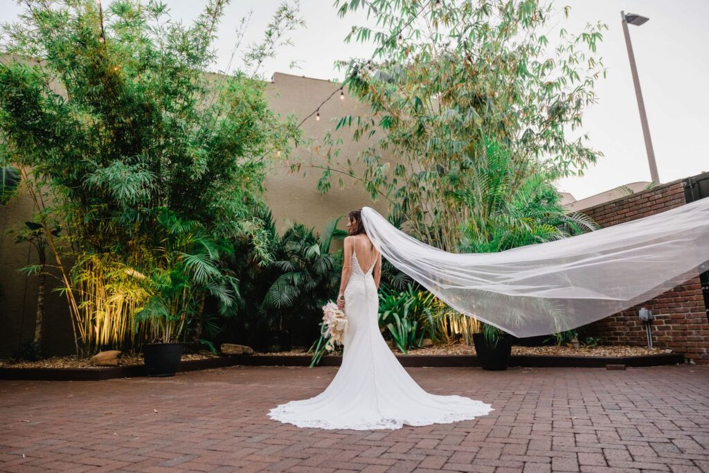Open Back Fit and Flare Wedding Dress Bridal Portrait with Long Cathedral Veil | St. Pete Wedding Photographer and Videographer Iyrus Weddings | Venue NOVA 535