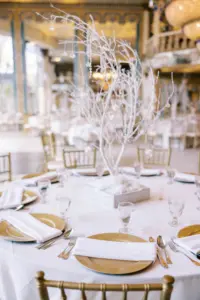 White Birchwood Tree Centerpiece Ideas | Tampa Bay Florist Lemon Drops Weddings & Events