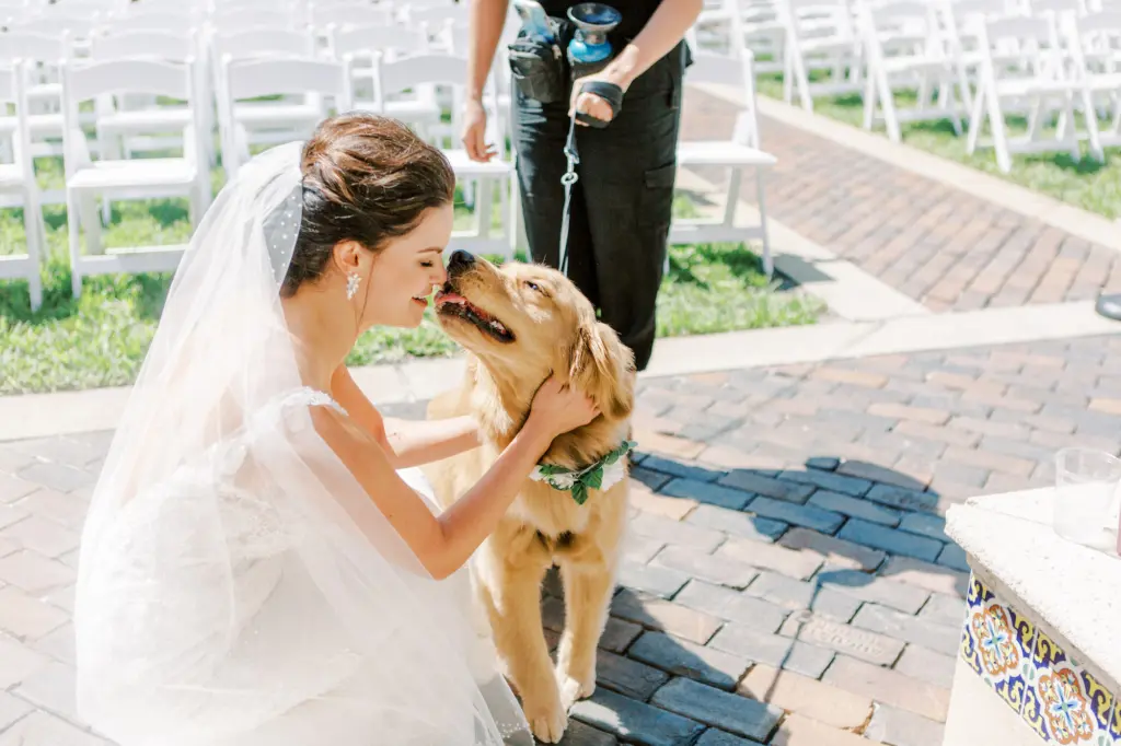Dog in Wedding Ceremony Ideas | Tampa Bay FairyTail Pet Care