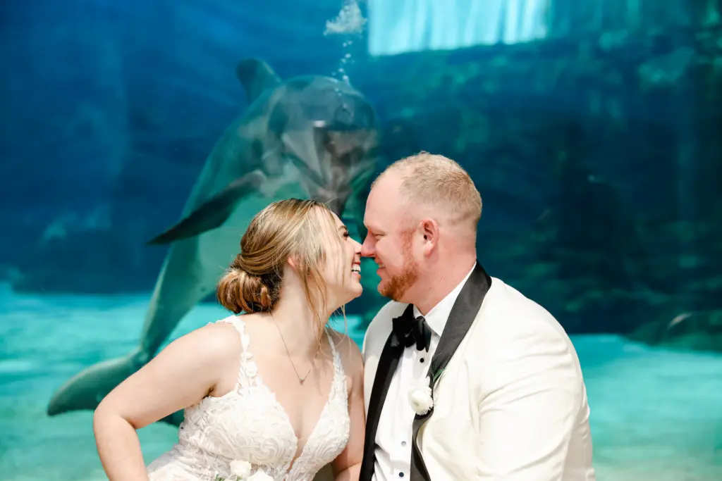 Wedding Venue Clearwater Marine Aquarium Portrait with Dolphin