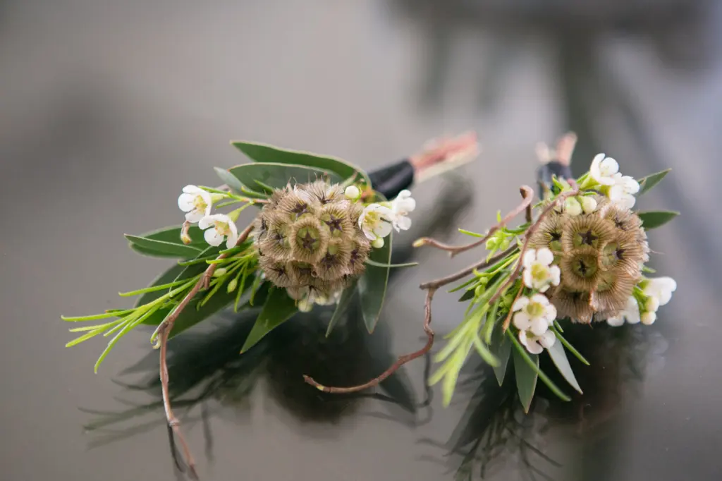 Star Flowers with Greenery Wedding Boutonniere Ideas