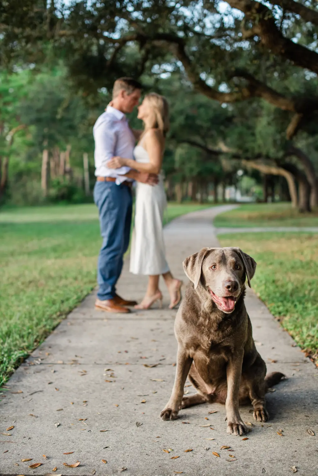 Mobbly Bayou Beach Park Engagement Shoot Location Ideas | Tampa Bay Wedding Photographer Joyelan Photography