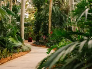 Outdoor Garden Wedding Ideas | Downtown St. Petersburg Event Venue Sunken Gardens