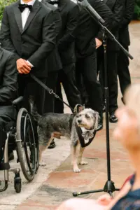 Dog in Wedding Ceremony Ideas | Tuxedo Bandana Inspiration