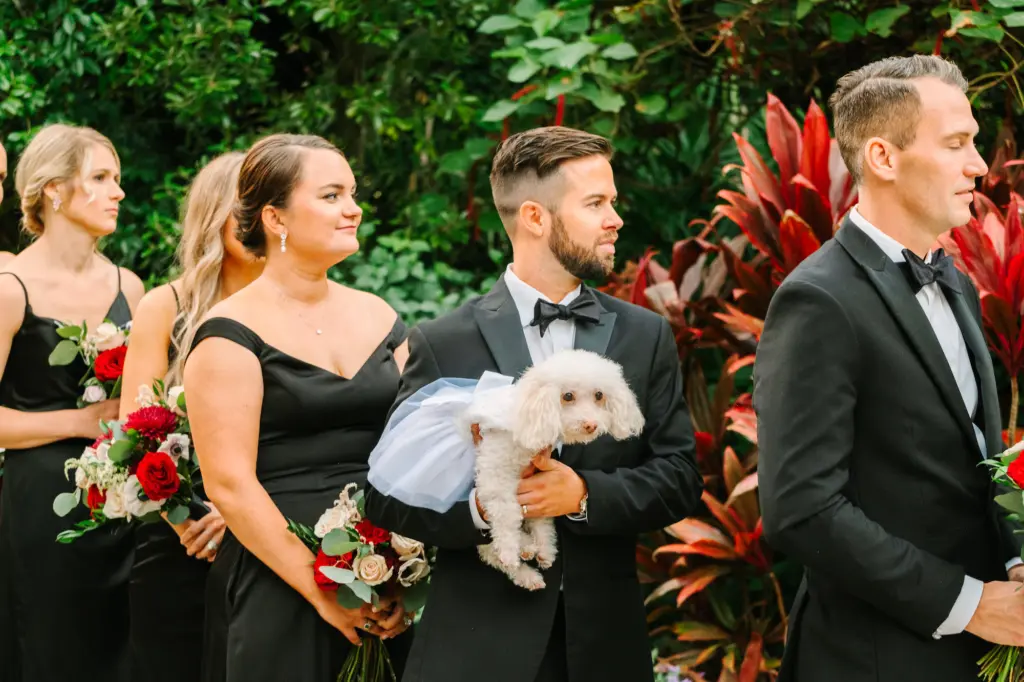 Dog with White Tulle Wedding Dress | Black Bridesmaid Dresses and Bridesmen Tuxedo Inspiration