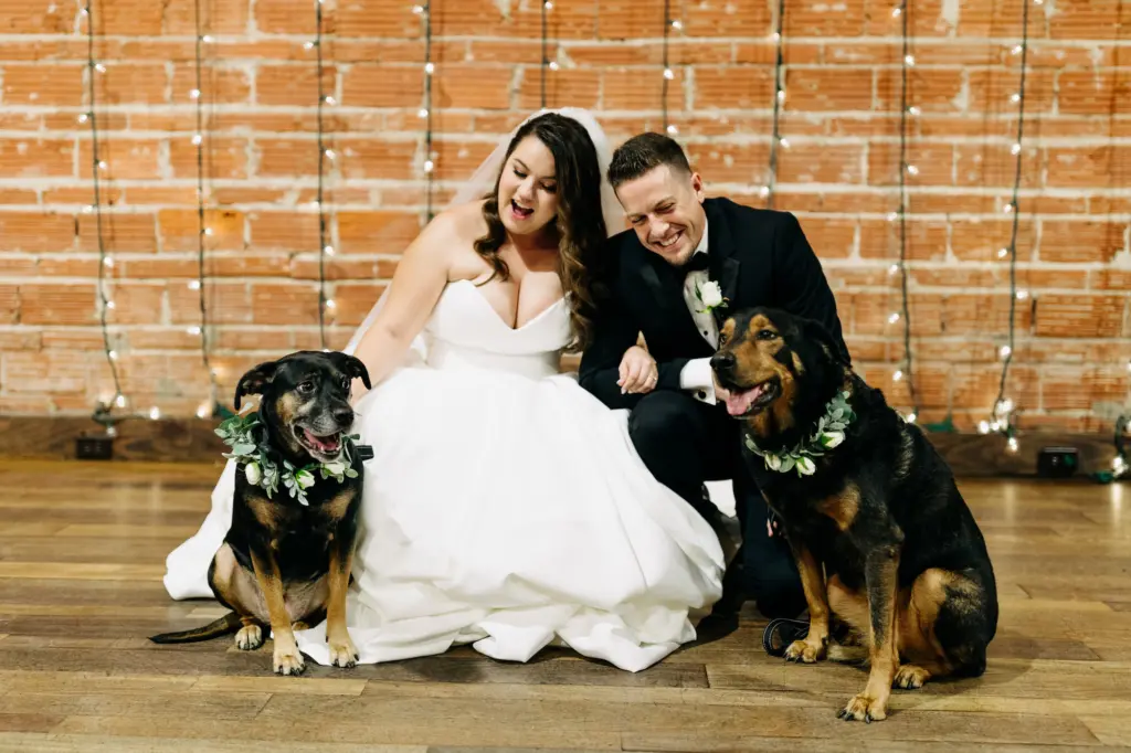 Bride and Groom with their Dogs Wedding Portrait | St Pete Venue NOVA 535