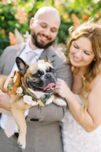 Bride and Groom Wedding Portrait with French Bulldog Puppy