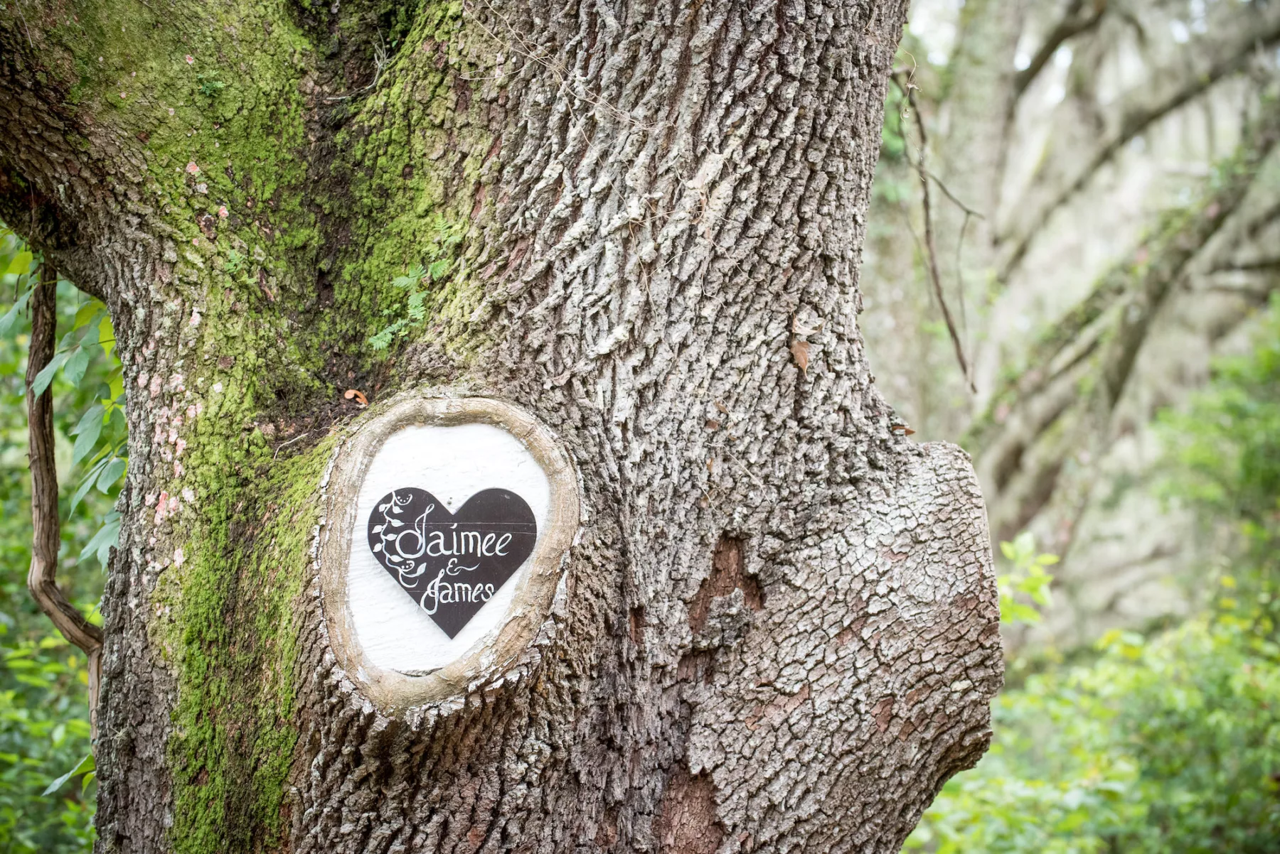 Rustic Bride and Groom Wedding Ceremony Oak Tree Decor Ideas