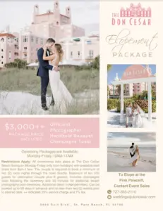 Don Cesar Elopement Intimate Wedding Packages and Prices