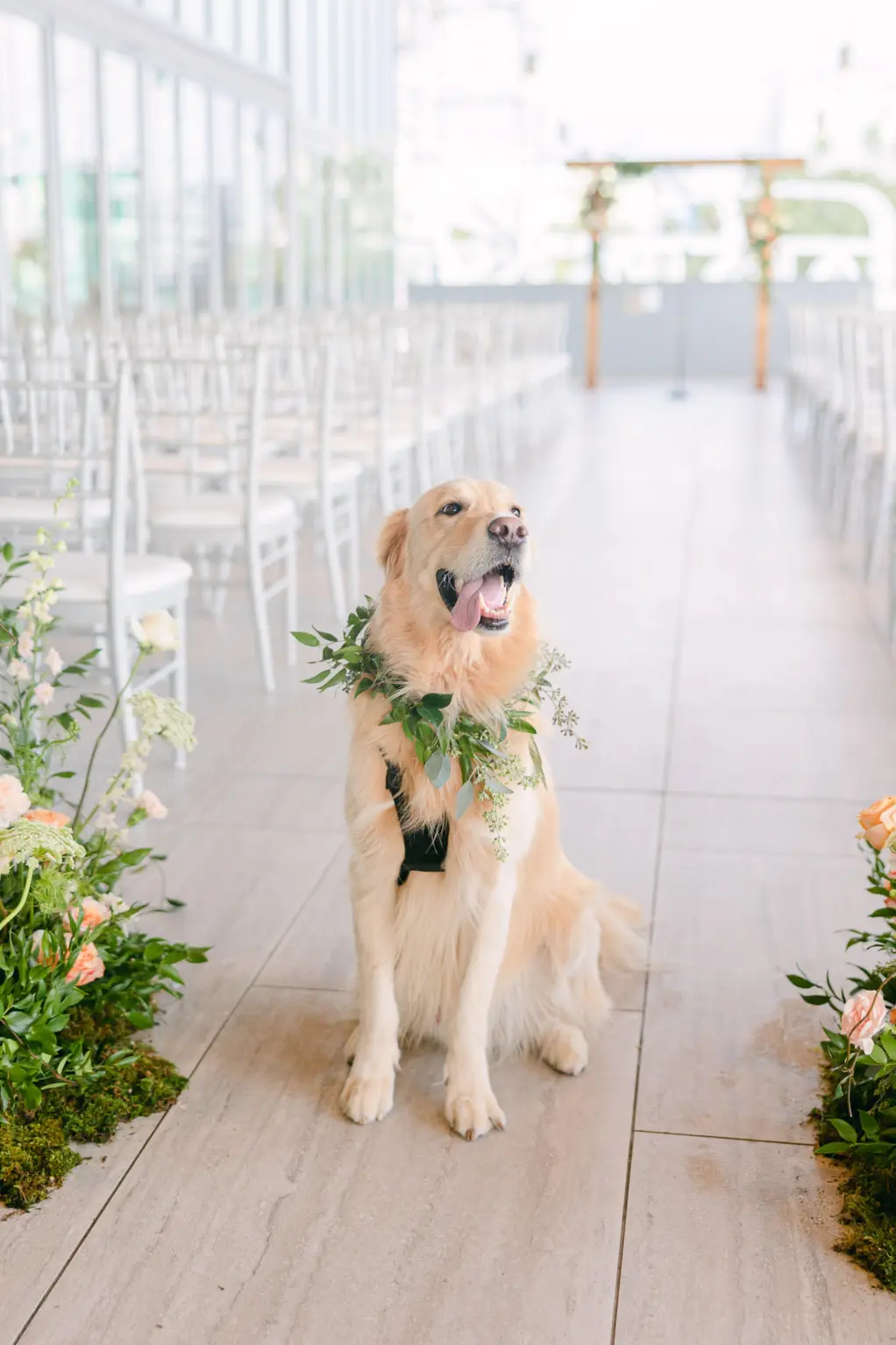 Dog with Greenery Collar in Wedding Ceremony Ideas