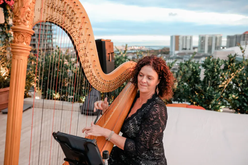 Live Music Harpist for Wedding Ceremony Entertainment Inspiration