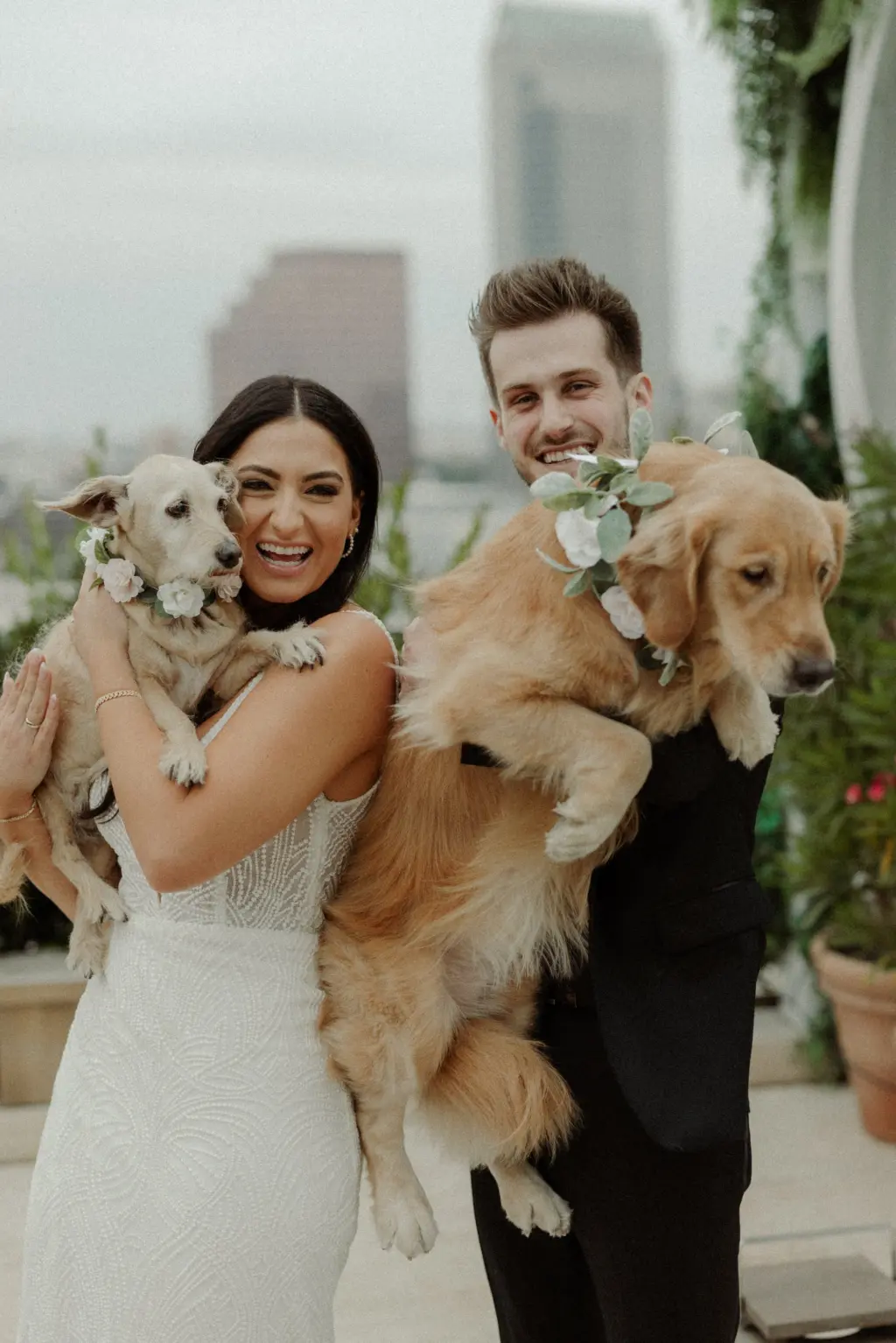 Bride and Groom with Their Dogs | Tampa Bay Fairy Tail Pet Care