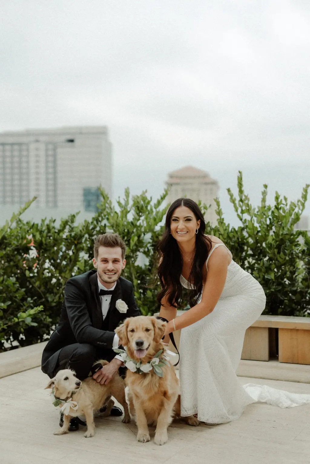 Bride and Groom with Their Dogs | Tampa Bay Fairy Tail Pet Care