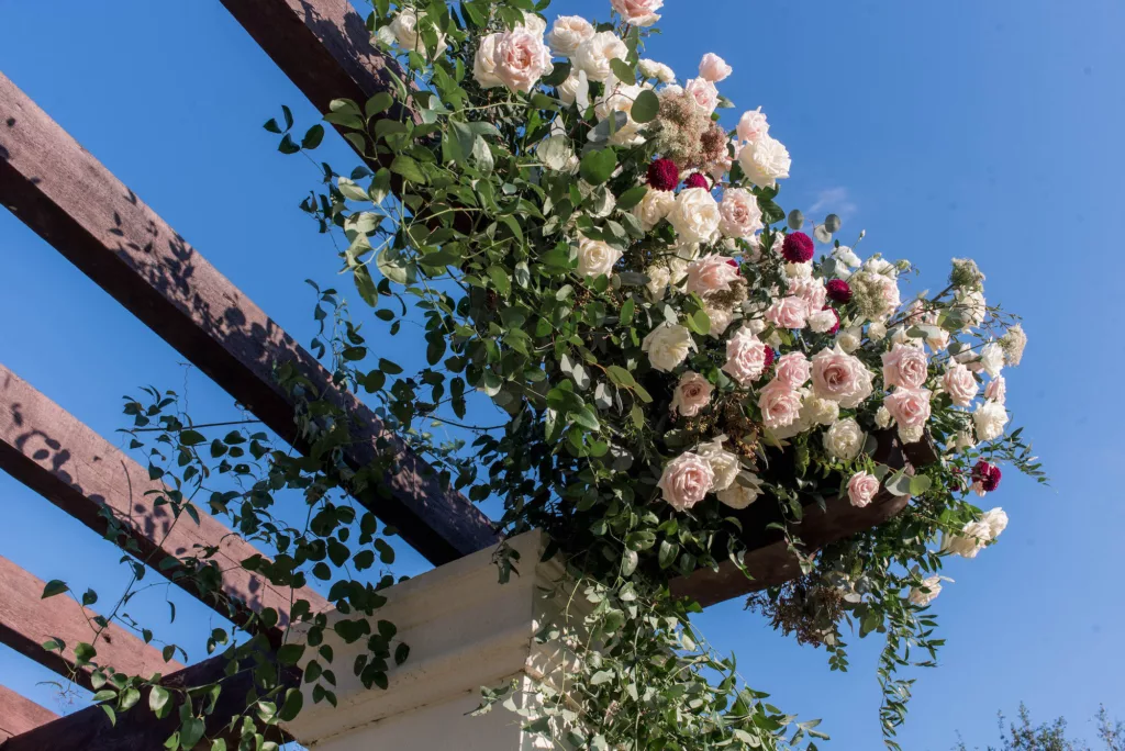 Wedding Ceremony Pergola with White Roses, Purple Chrysanthemums, and Cascading Greenery Decor Inspiration | Tampa Bay Venue The Concession Golf Club | Florist Bruce Wayne Florals
