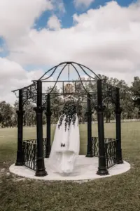 Gothic Halloween Wedding Ceremony with Black Metal Gazebo and Chandelier Inspiration | Elegant Strapless Black Lace, White Tulle, A-Line Gothic David's Bridal Wedding Dress Ideas