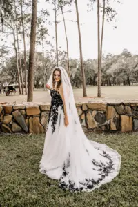 Gothic Halloween Strapless Black Lace, White Tulle, A-Line David's Bridal Wedding Dress Inspiration