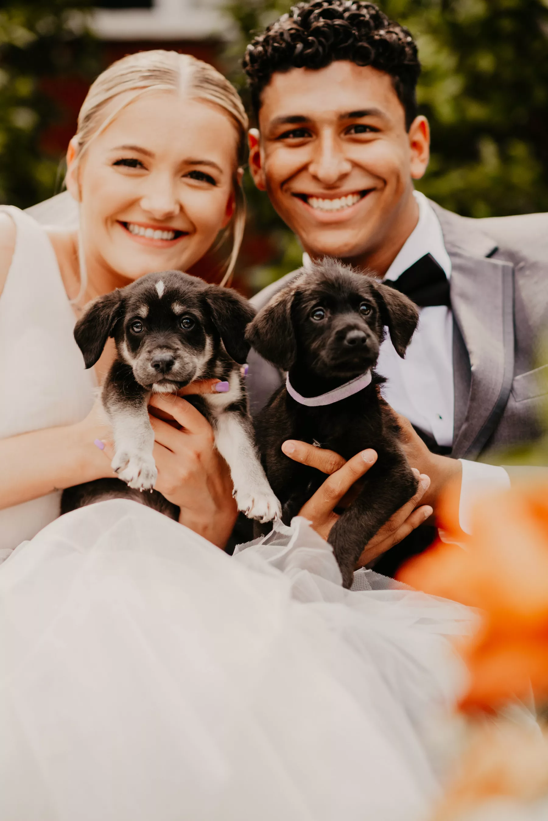 Bride and Groom with Adoptable Puppies Wedding Portrait