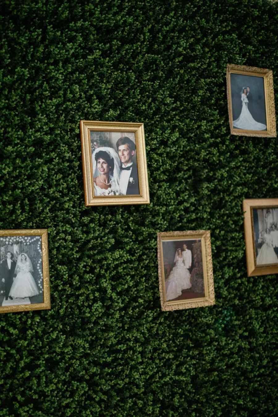 Generational Wedding Photos on Grass Wall for Old Florida Wedding Reception Decor Ideas