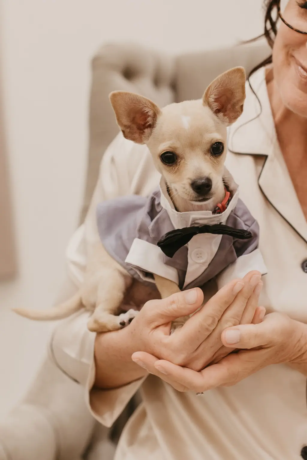 Dog in Tuxedo for Owner's Wedding Day Ideas