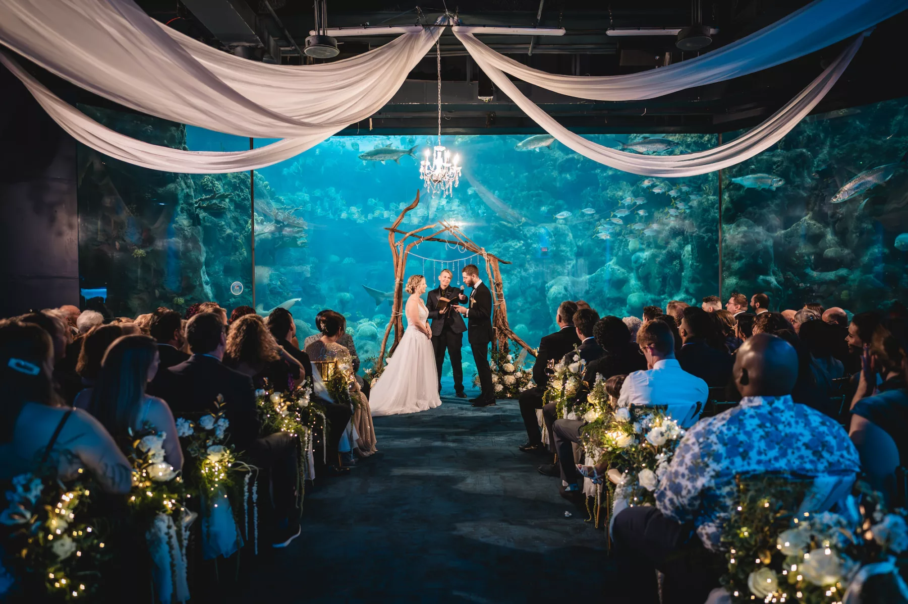 Emerald and Gold Downtown Tampa Wedding | The Florida Aquarium
