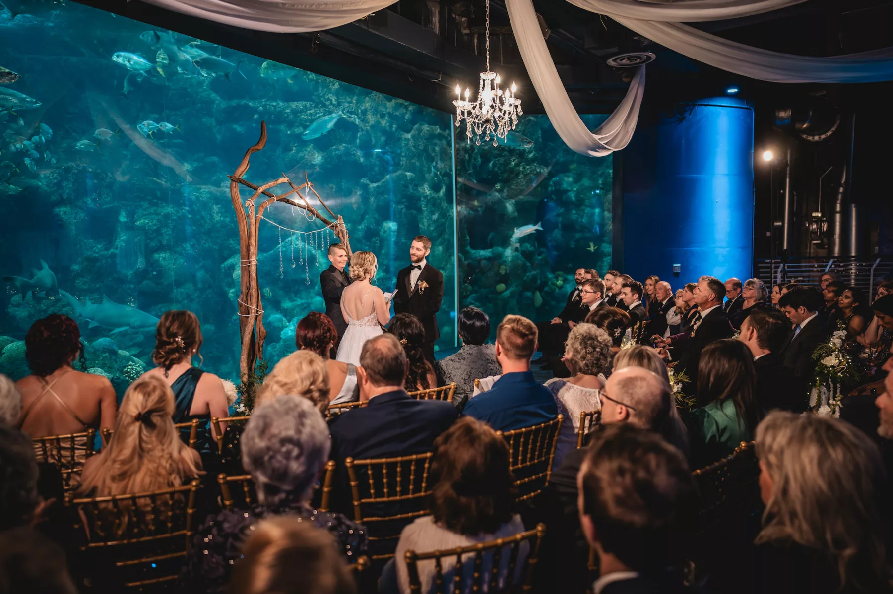 Nautical Inspired Coral Reef Gallery Fall Wedding Ceremony | Drift Wood Arch Ideas | Tampa Bay Event Venue The Florida Aquarium