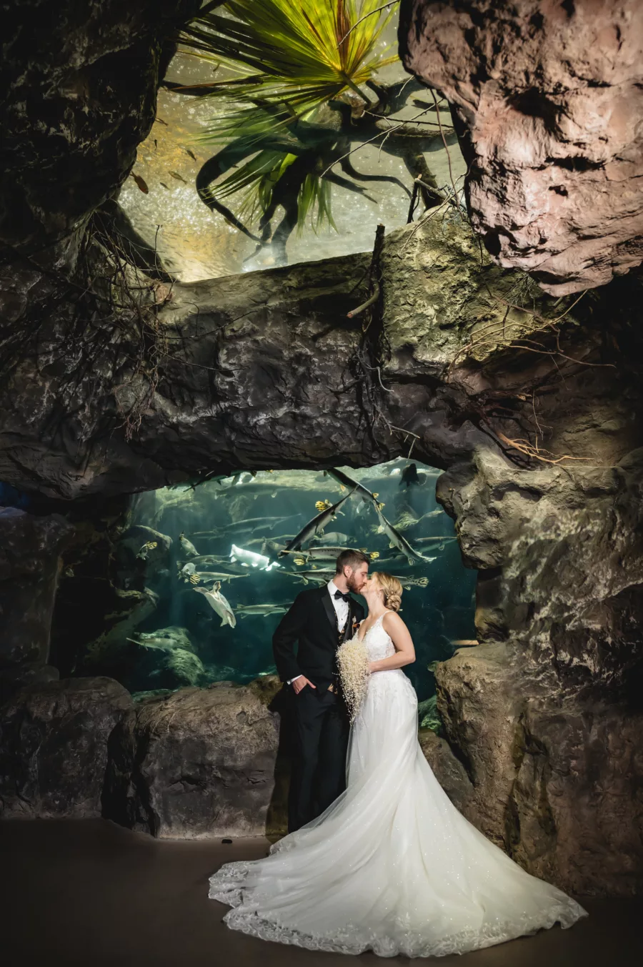 Bride and Groom Just Married Coral Reef Gallery Wedding Portrait | Tampa Bay Event Venue The Florida Aquarium