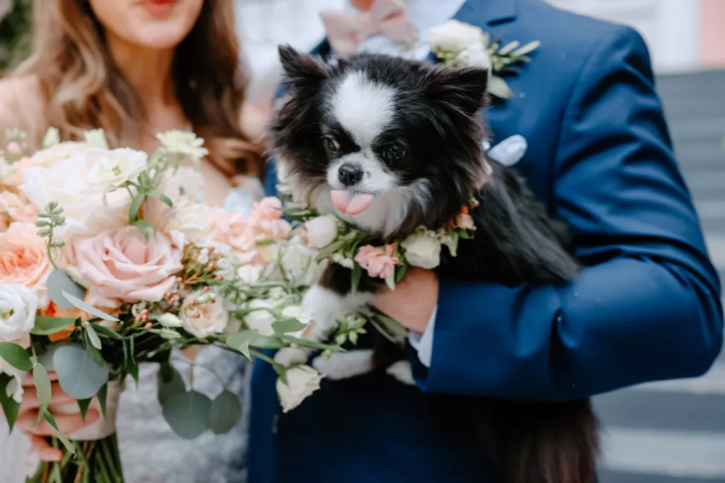 Dog with Flower Collar Wedding Portrait