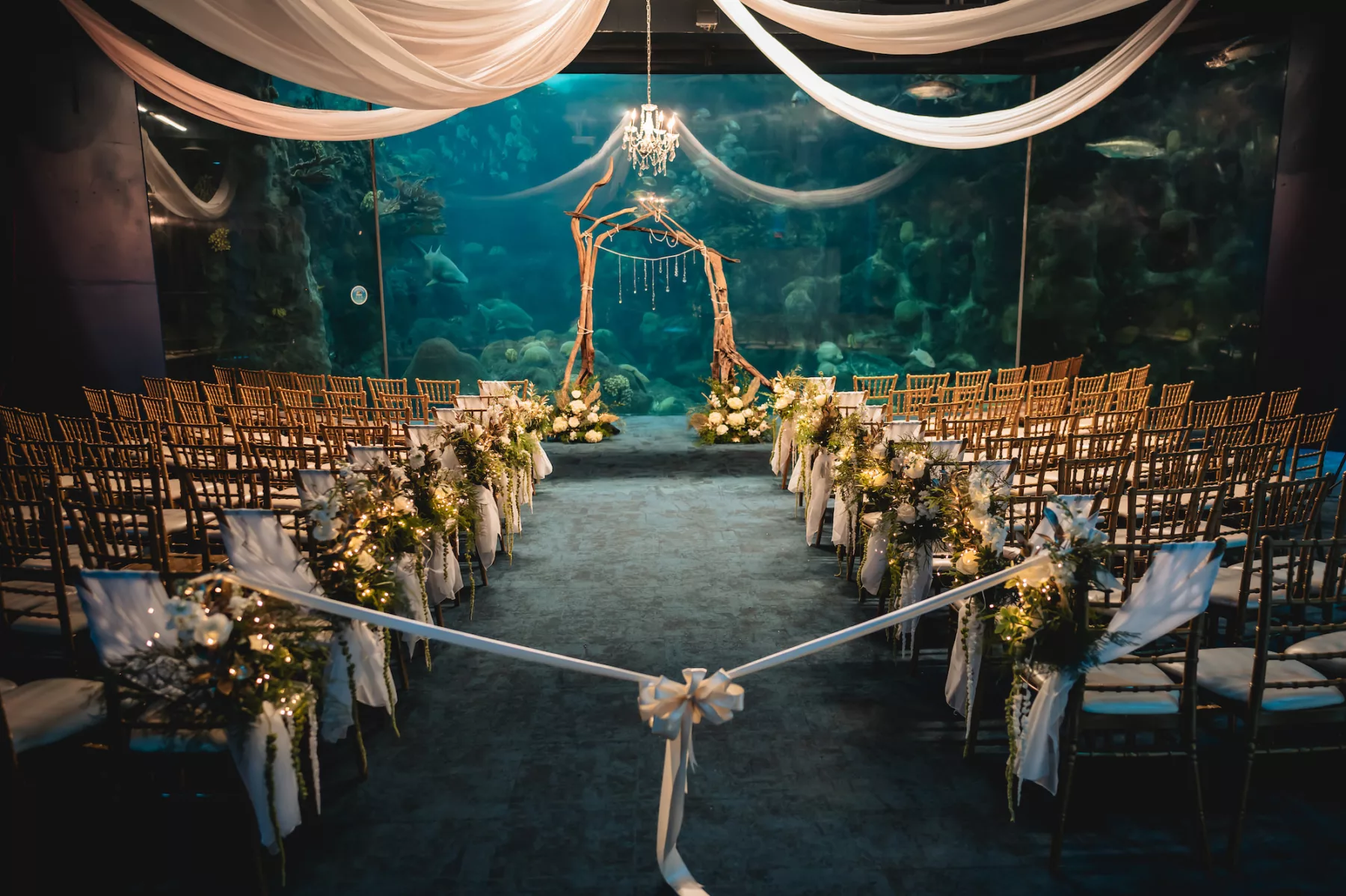 Nautical Inspired Coral Reef Gallery Fall Wedding Ceremony Decor Ideas | Gold Chiavari Chairs | Tampa Bay Event Venue The Florida Aquarium | Planner Breezin Weddings | Florist Lemon Drops | Outside The Box Event Rentals