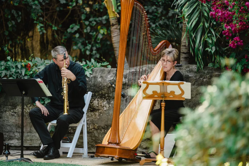 Harpist Live Music for Wedding Ceremony Ideas